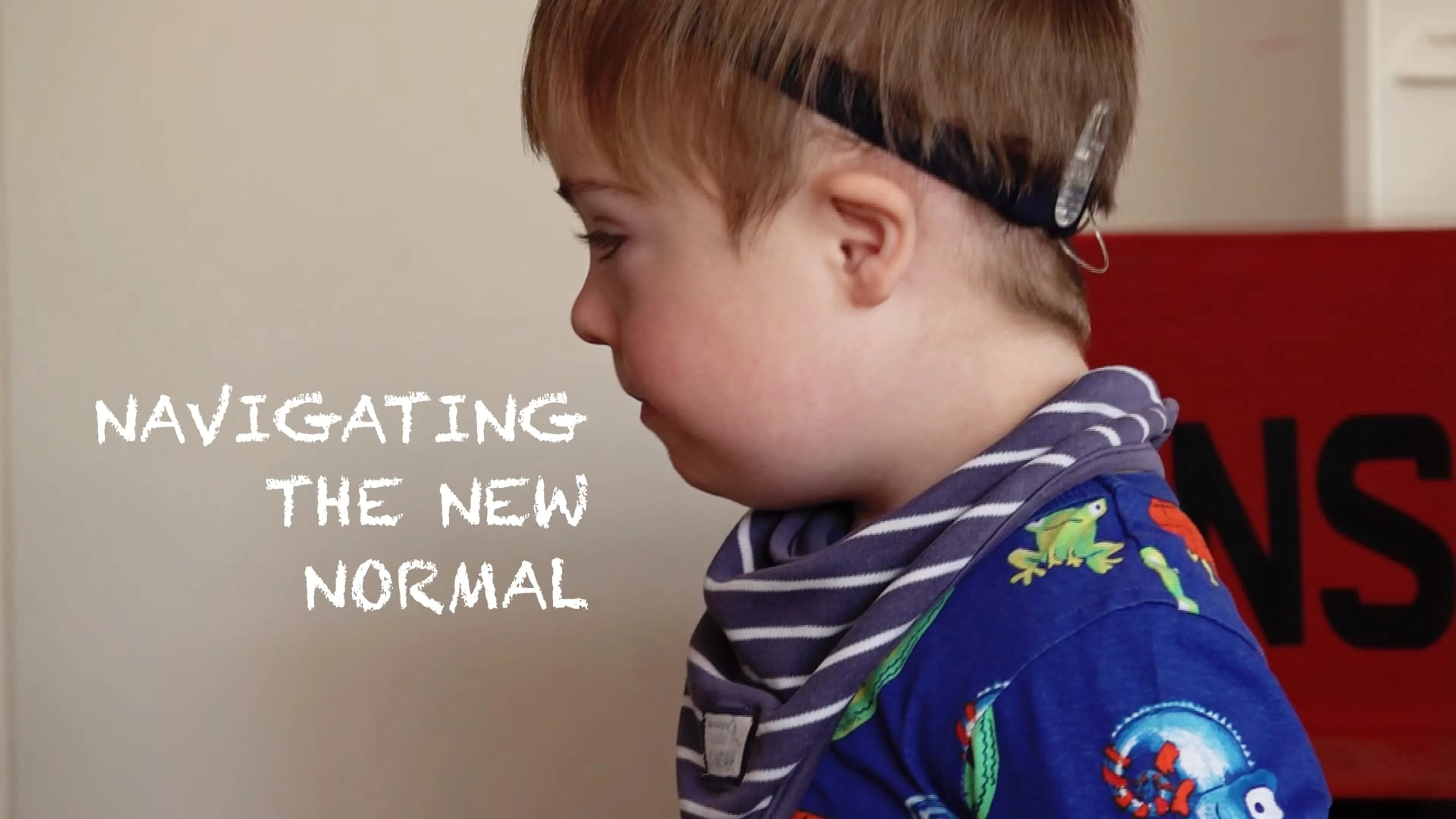 Navigating the New Normal poster